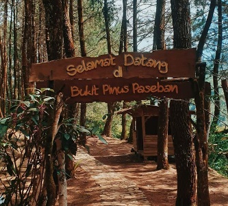 Bukit Pinus Paseban Camp